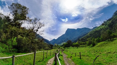 Valle de Cocora in Kolumbien