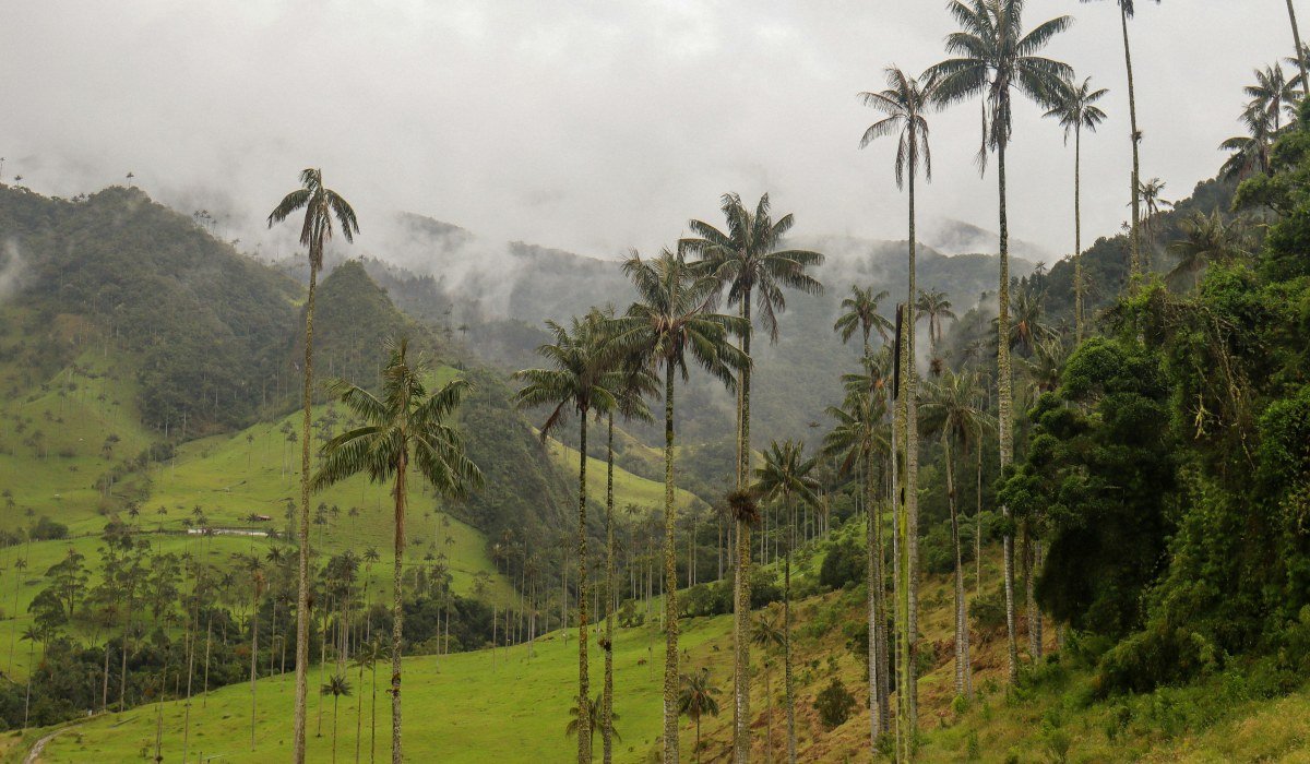 PanamaKolumbien 2025 (10)