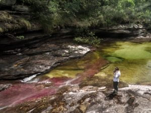 caño cristales- Kolumbien