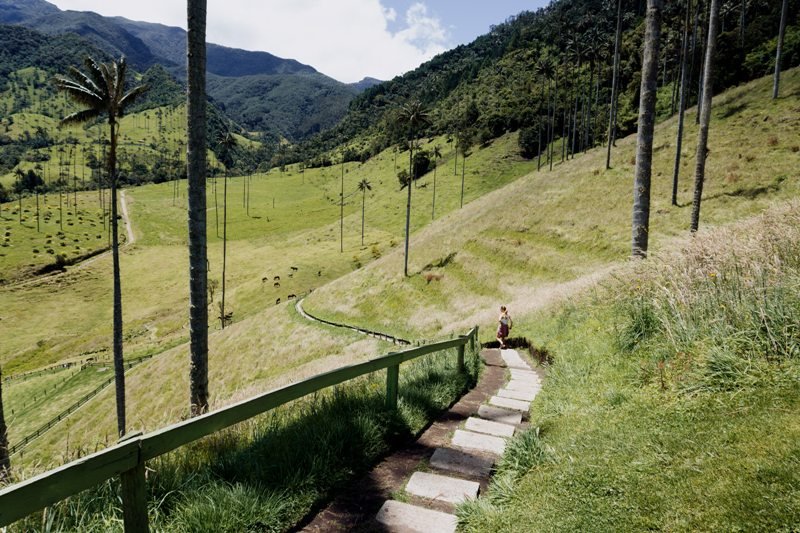 Valle de Cocora Kolumbien mit Kindern - Kolumbien Individual