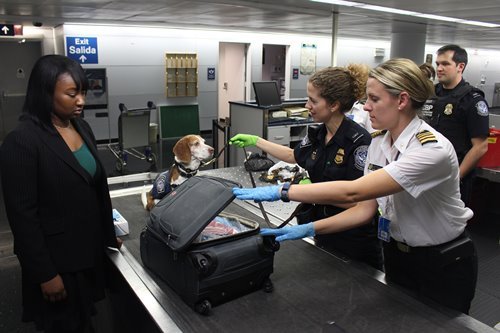 Zoll am Flughafen